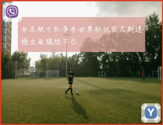 非足联十队争夺世界杯仅突尼斯遗憾出局尴尬不已